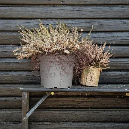 Fan014-fano-vester-kirketoft-7 펜션